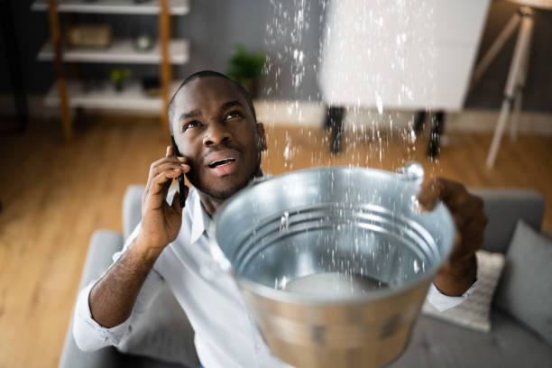 Best Commercial water damage restoration  in USA